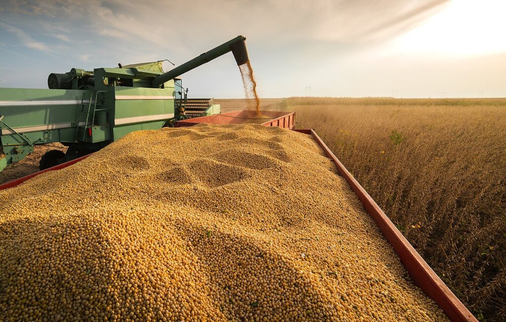 Agraprime Soybean Crop Harvester